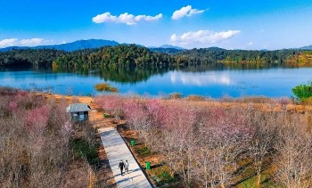 Explore Pa Khoang – The Largest Lake In Dien Bien Province