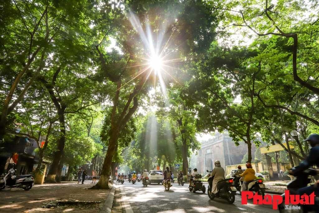 Vietnam’s Weather Forecast (January 21): Cold Waves Hit Hanoi Again, Freezing Night