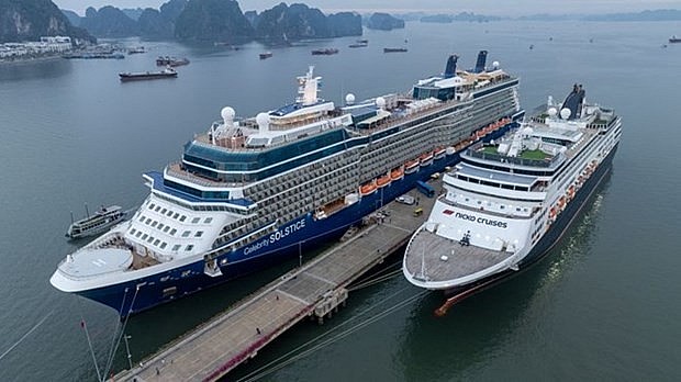 Vietnam to join global recovery trend this year. (Photo: Laodong.vn)