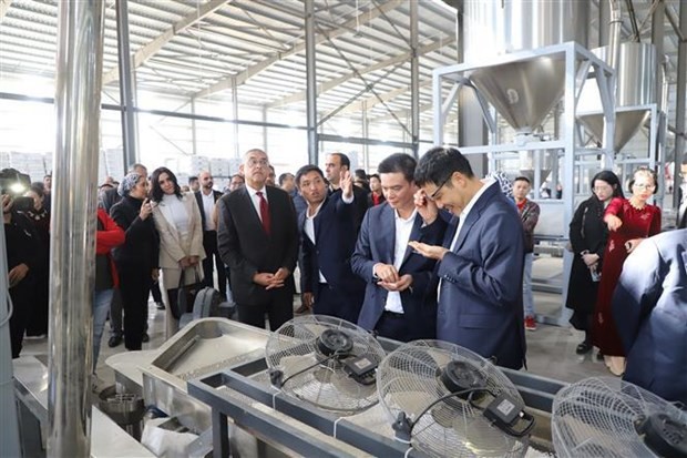 First Factory of A Vietnamese Enterprise Inaugurated in Egypt