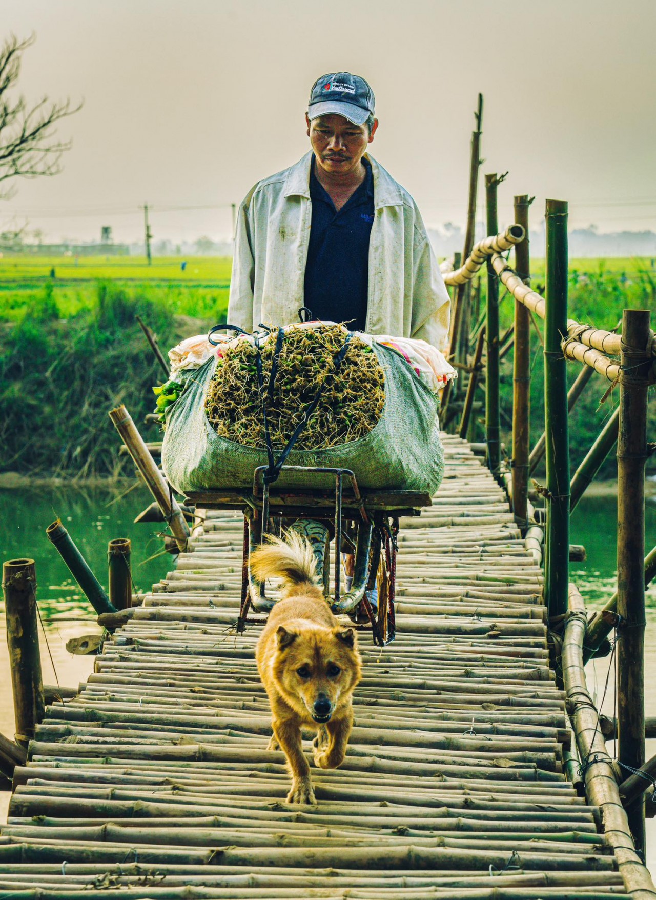 Expat Spotlight: Ben Quick - A Child of Agent Orange Builds Bridges in Vietnam