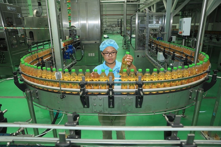 Synergy, Pioneering Spirit Raise Vietnamese businesses' Position in International Arena
