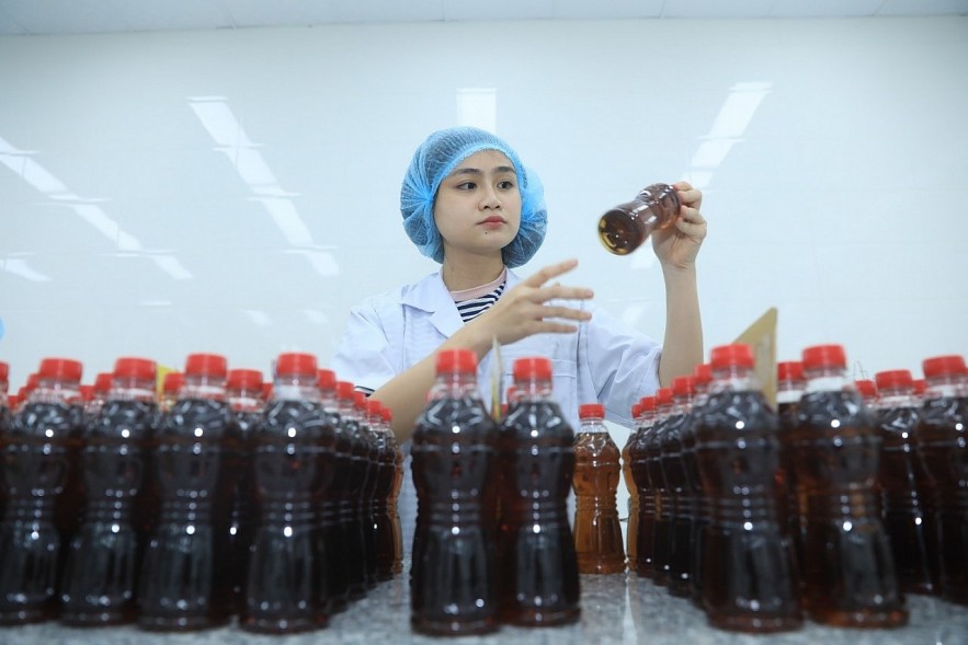 Synergy, Pioneering Spirit Raise Vietnamese businesses' Position in International Arena