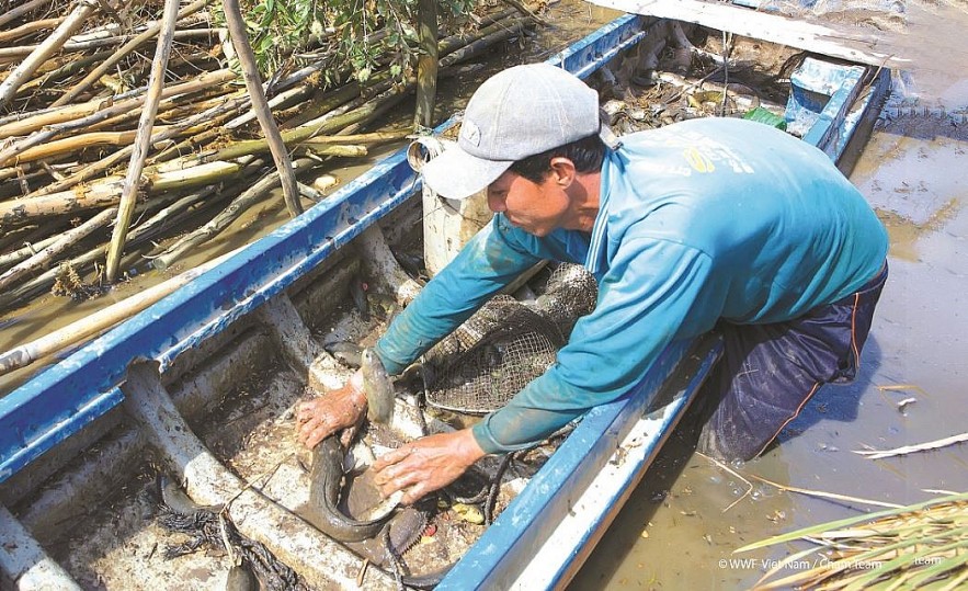 International NGOs: Spread Vietnam's Image to the World