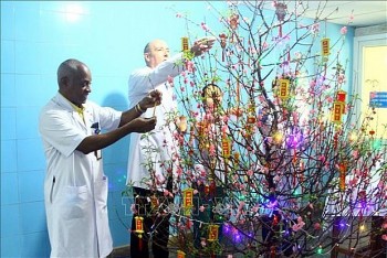 Vietnam News Today (Feb. 12): Charms of Tet shine on Uruguayan press