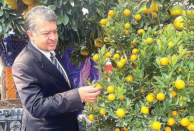 Tet through the Lenses of Foreign Diplomats