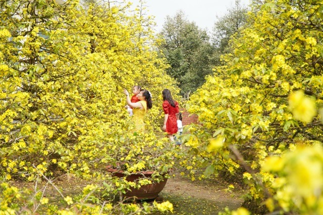 Top Mekong Delta Tourist Spots to Visit in Spring