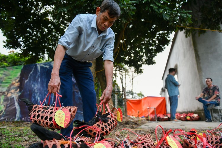 Ghostly Delights at Bac Ninh's Market of the Dead