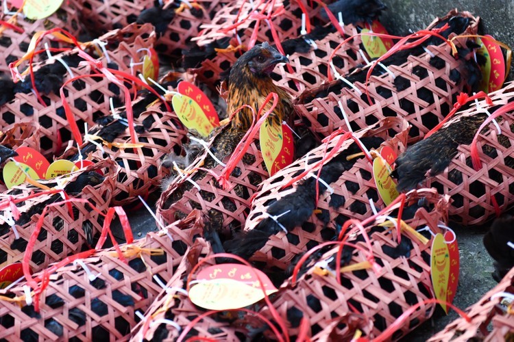 Ghostly Delights at Bac Ninh's Market of the Dead