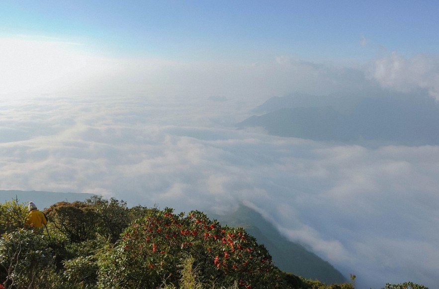 Witness The Dreamy Milky Way On Cu Nhu San Mountain Peak