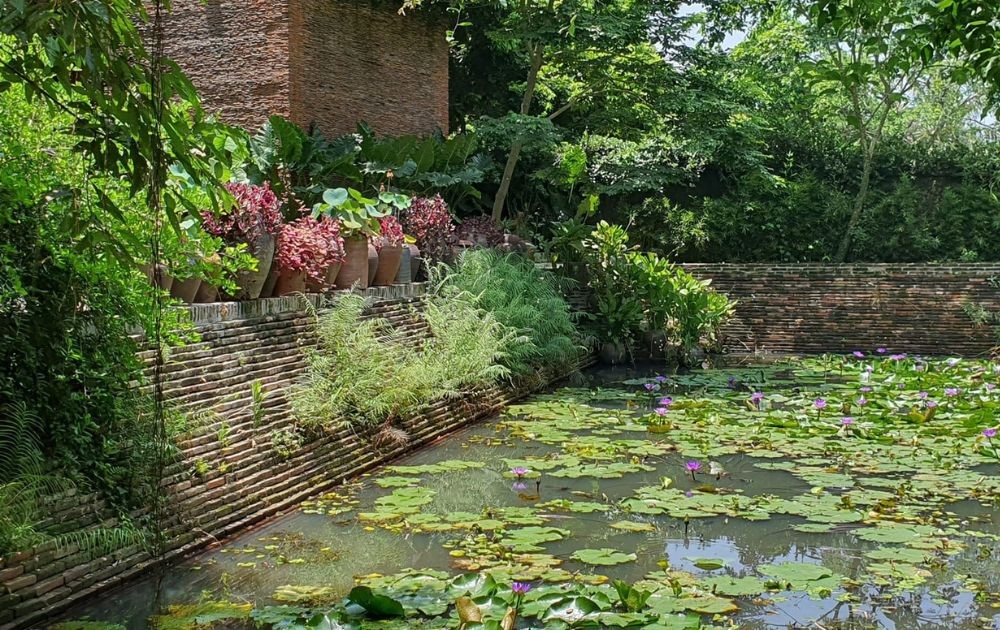 Lotus pond in the Dao Mau Museum and Temple (Photo: Bao tang Dao Mau/Facebook)