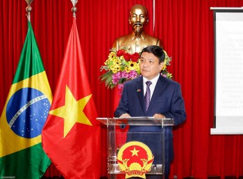 Embassy Hosts Rich, Diverse Events to Strengthen Vietnam-Brazil Relations