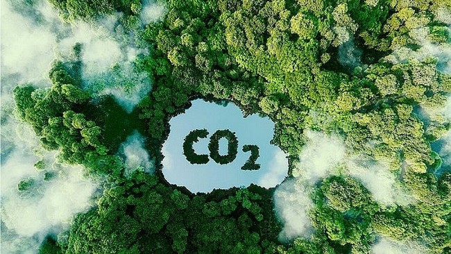 Vietnam Received USD 51.5 Million for Carbon Credits