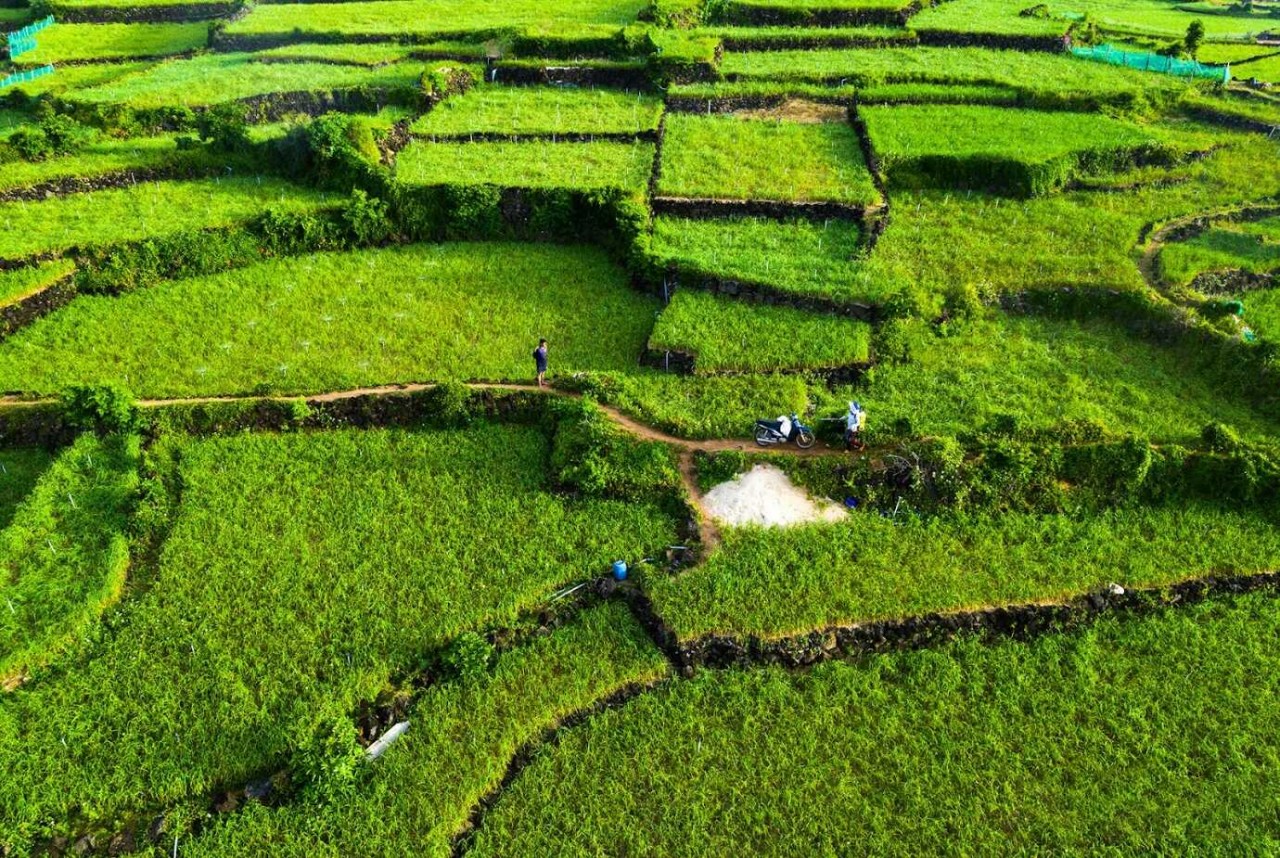 Ly Son Island – A Perfect Getaway For A Summer Trip In Vietnam
