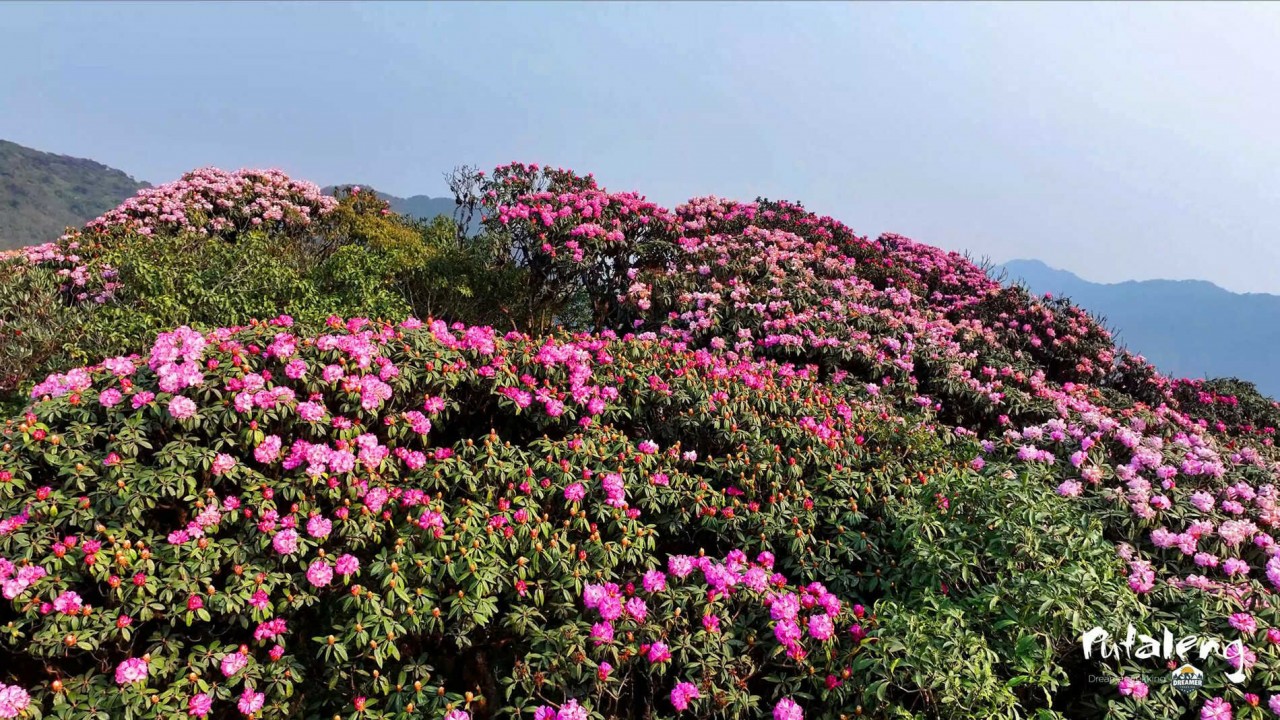 Conquer The Majestic Putaleng Mountain In Northern Vietnam
