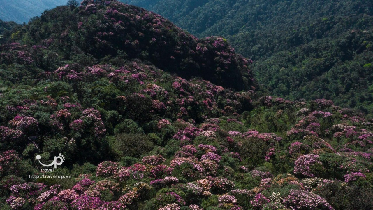 Conquer The Majestic Putaleng Mountain In Northern Vietnam