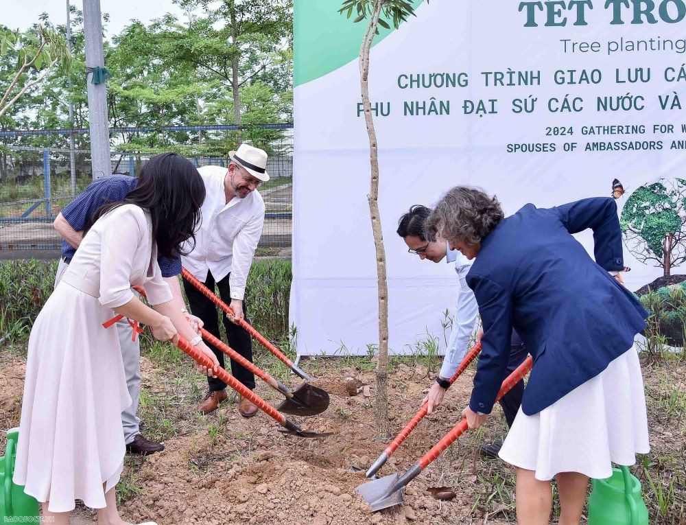 Foreign Diplomats Explore Xu Doai Culture Of Vietnam