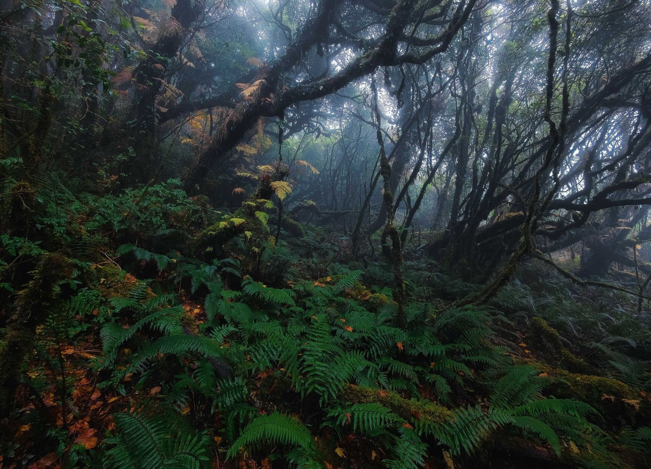 Discover The Fairytale-Like Beauty Of Sa Mu Mountain Peak