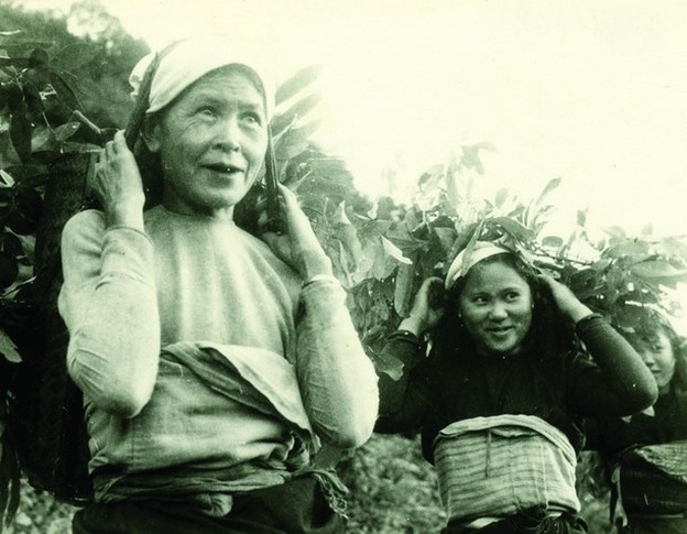 [Photo] The Women of the Legendary Dien Bien Phu Campaign
