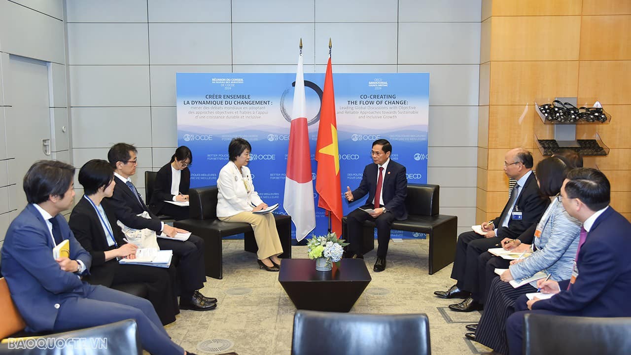 Minister of Foreign Affairs Bui Thanh Son and his Japanese counterpart Kamikawa Yoko. Photo: 