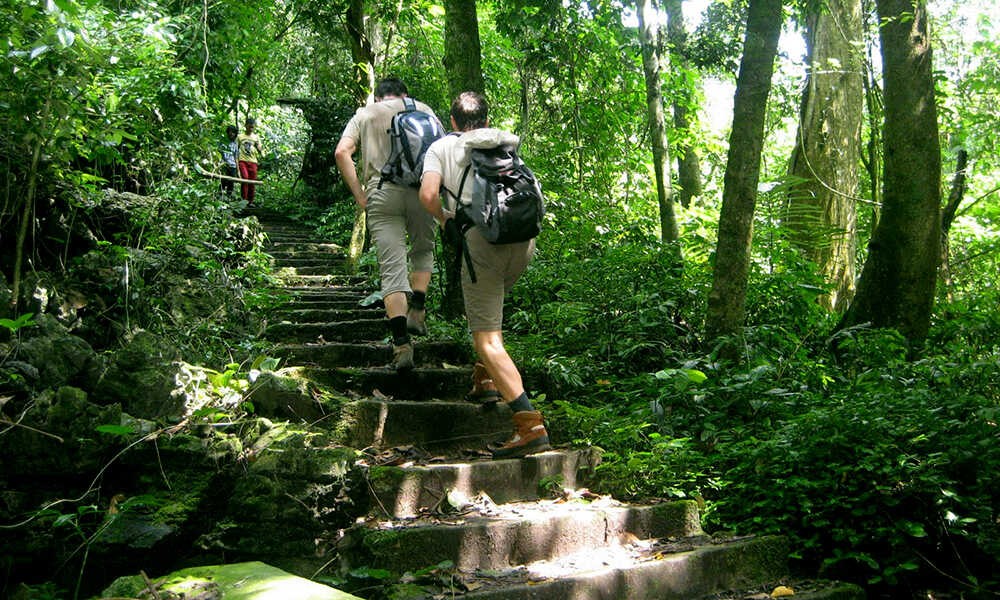 Enjoy A Peaceful Summer Vacation In Cuc Phuong National Park