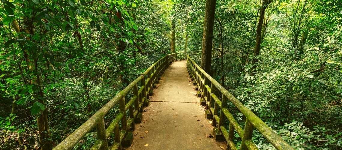 Enjoy A Peaceful Summer Vacation In Cuc Phuong National Park