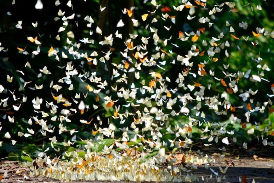 Enjoy A Peaceful Summer Vacation In Cuc Phuong National Park