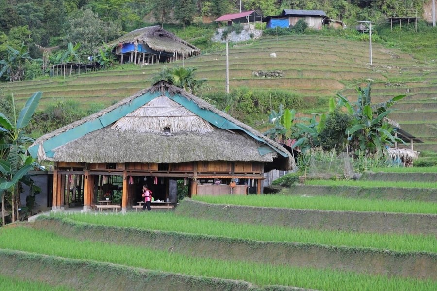 Xa Phin - The Dreamy Moss-Covered Village In Ha Giang