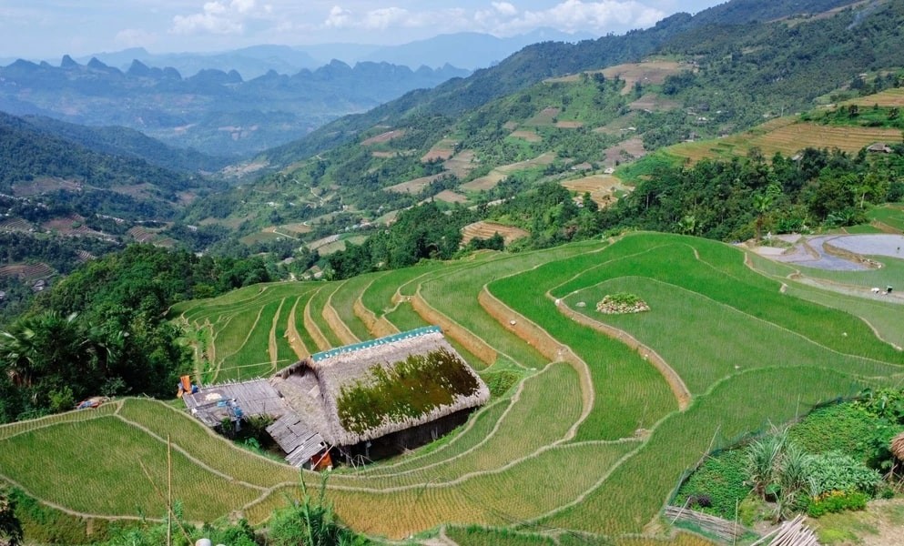 Xa Phin - The Dreamy Moss-Covered Village In Ha Giang