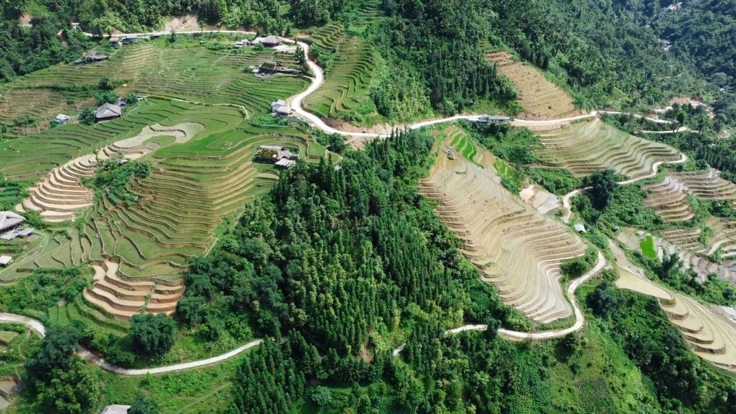 Xa Phin - The Dreamy Moss-Covered Village In Ha Giang