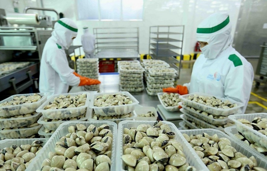 Vietnam And Brazil Promote Trade Cooperation