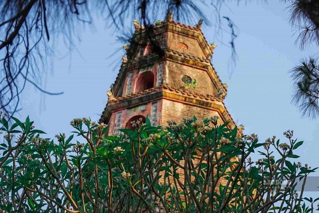 Brilliant Porcelain Flowers Bloom In The Ancient Capital Of Hue