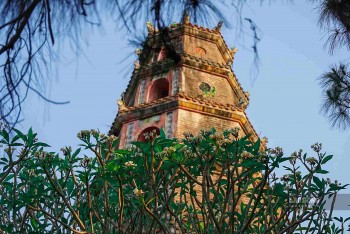 Brilliant Porcelain Flowers Bloom In The Ancient Capital Of Hue