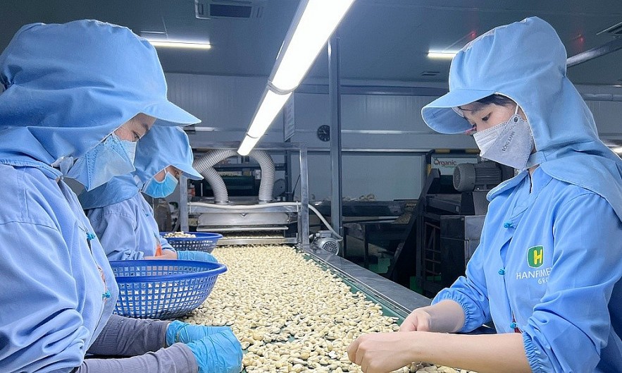 Vietnam And Kazakhstan Promote Bilateral Cooperation