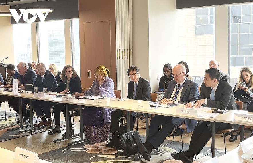 Ambassador Dang Hoang Giang, Vietnam's Permanent Representative to the UN (first from right) attends the meeting.