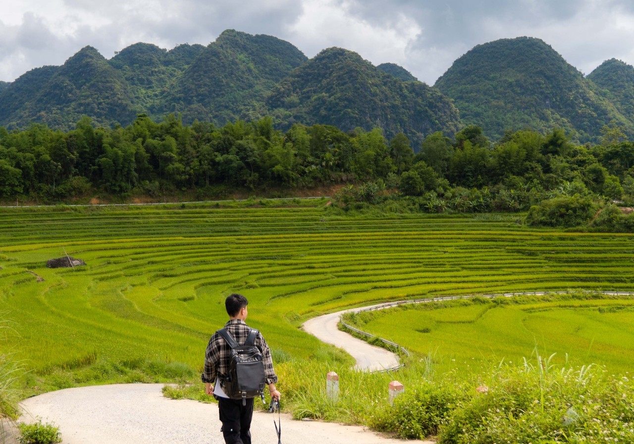 Admire The Mesmerizing Don Village In The Ripening Rice Season