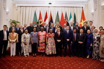 Vietnam Eyes Strengthening Multifaceted Cooperation with Africa