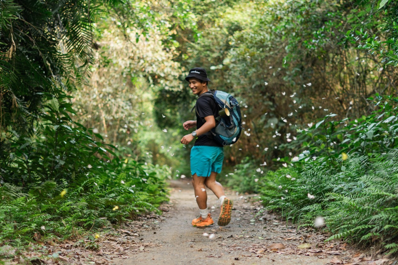 Discover The Magical Butterfly Season In Cat Ba Island