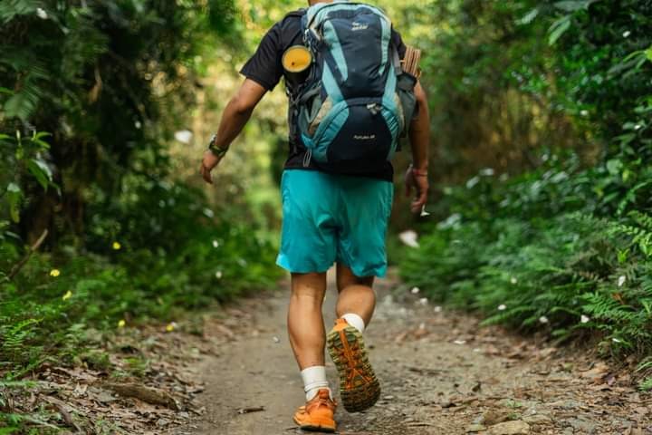 Discover The Magical Butterfly Season In Cat Ba Island