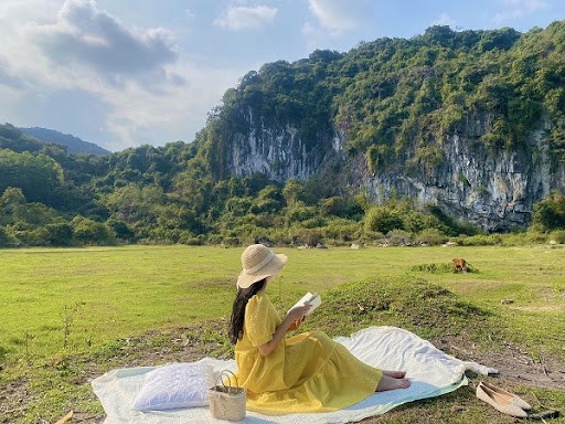 Discover The Magical Butterfly Season In Cat Ba Island