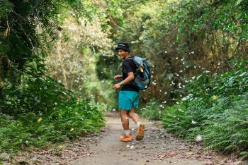 Discover The Magical Butterfly Season In Cat Ba Island