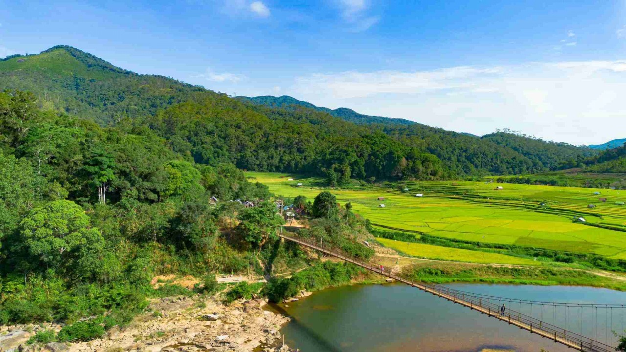 Admire The Mesmerizing Ripening Kon Tu Rang Terraced Fields In Kon Tum
