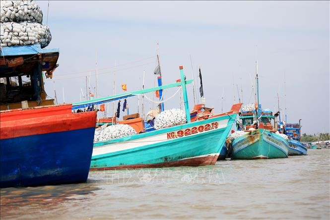 RoK, Vietnam Tightens Cooperation to Fight IUU Fishing