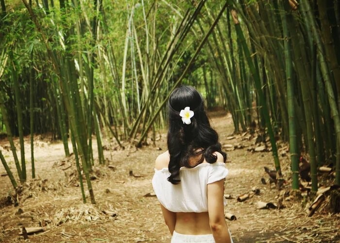 Explore Phu An Bamboo Village – The Unique Green Space In Vietnam