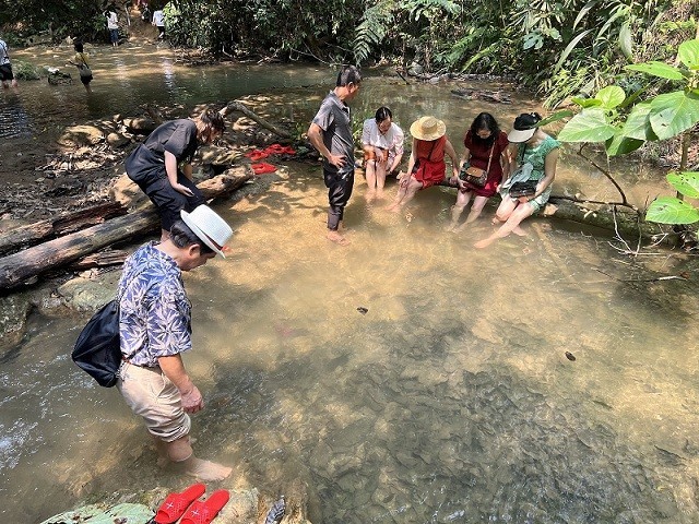 Explore Na Hang –A Tranquil Natural Beauty For A Summer Holiday In Tuyen Quang