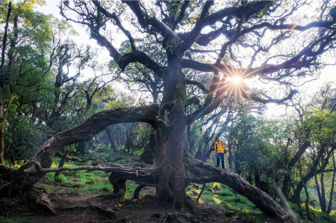 Conquer The Challenging Trekking Route Of Sa Mu Peak For A Weekend Getaway