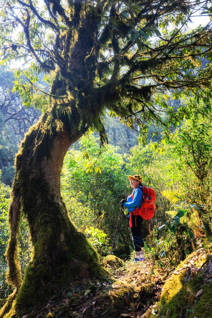 Conquer The Challenging Trekking Route Of Sa Mu Peak For A Weekend Getaway