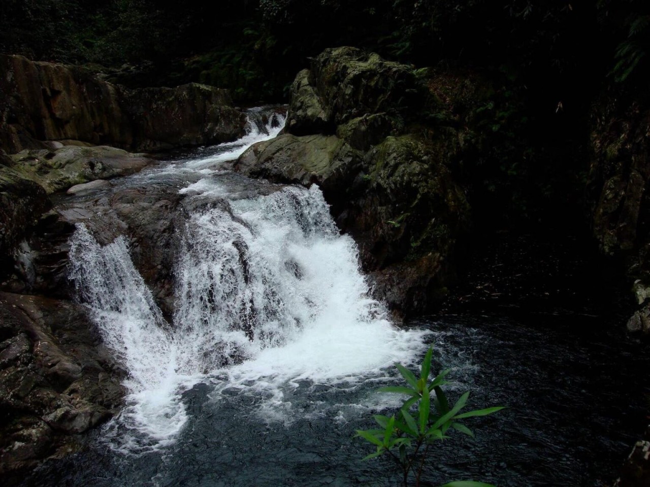 Experience The Breath-Taking Wilderness Of Vu Quang National Park