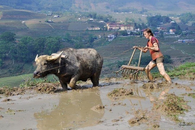 Best Destinations For Foreign Tourists To Experience Farming Life In Vietnam