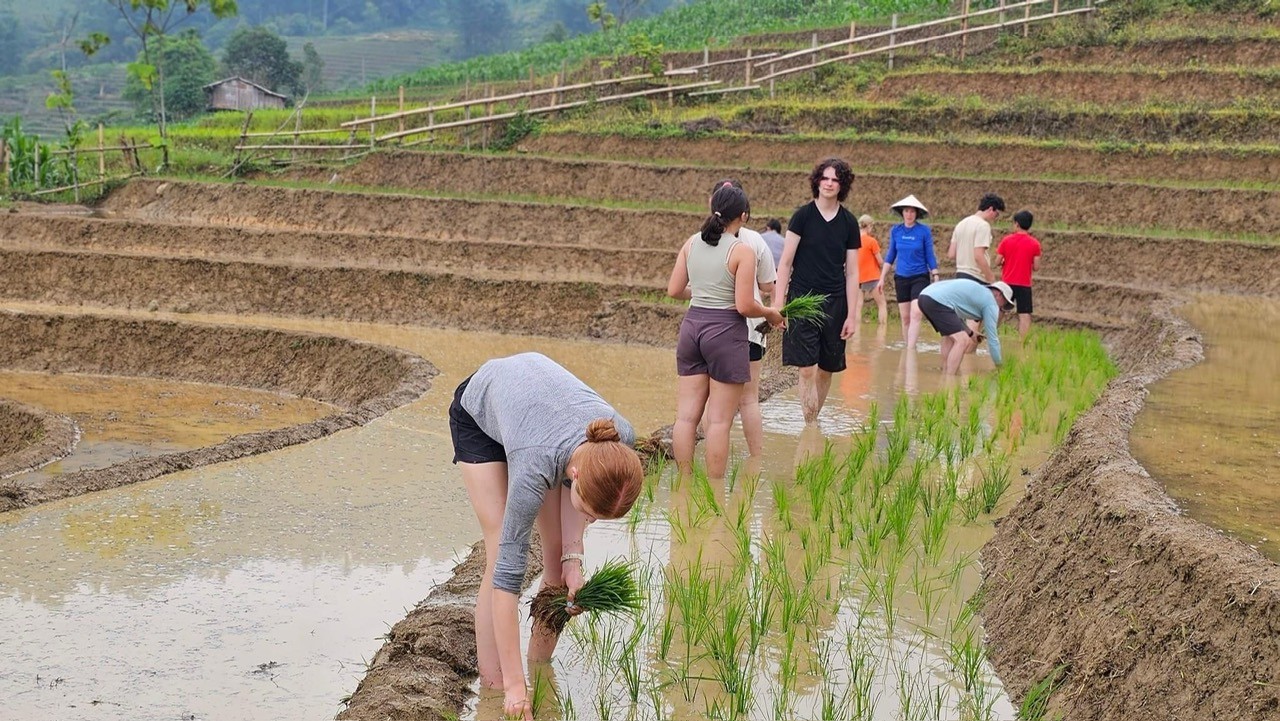 Best Destinations For Foreign Tourists To Experience Farming Life In Vietnam